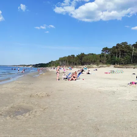 Hydrograf, Rowery ホームステイ